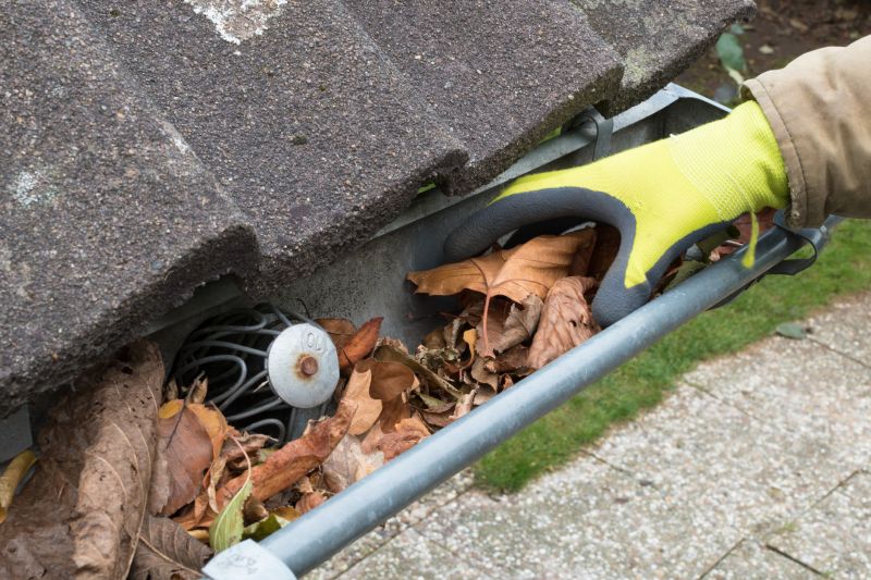 Debris Removal from Gutters